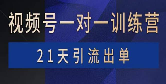 视频号训练营：带货，涨粉，直播，游戏，四大变现新方向，21天引流出单凯哥轻创网-网创项目资源站-副业项目-创业项目-搞钱项目凯哥轻创网