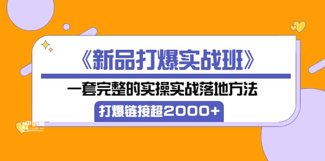 《新品打爆实战班》一套完整的实操实战落地方法，打爆链接超2000+（38节课)凯哥轻创网-网创项目资源站-副业项目-创业项目-搞钱项目凯哥轻创网