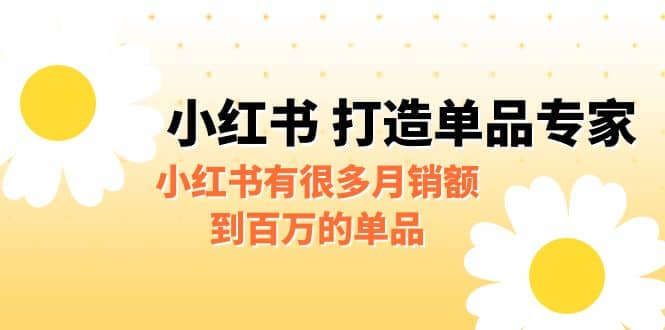 某公众号付费文章《小红书 打造单品专家》小红书有很多月销额到百万的单品凯哥轻创网-网创项目资源站-副业项目-创业项目-搞钱项目凯哥轻创网