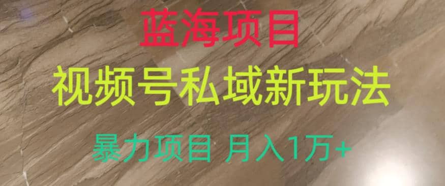 蓝海项目，视频号私域新玩法，暴力项目月入1万+【揭秘】凯哥轻创网-网创项目资源站-副业项目-创业项目-搞钱项目凯哥轻创网