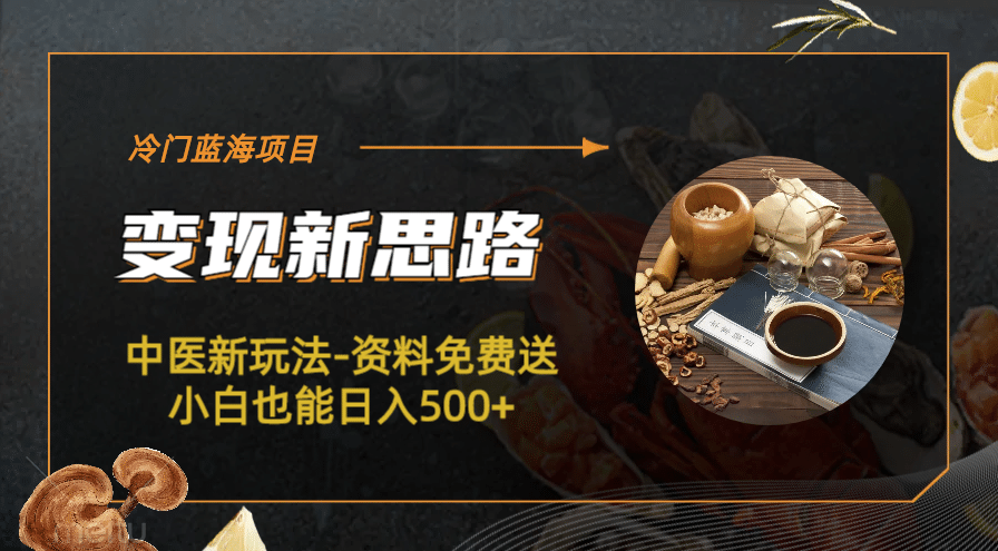 冷门蓝海项目-中医新玩法-冷门蓝海项目-中医新玩法-资料免费送小白也能日入500+500+凯哥轻创网-网创项目资源站-副业项目-创业项目-搞钱项目凯哥轻创网