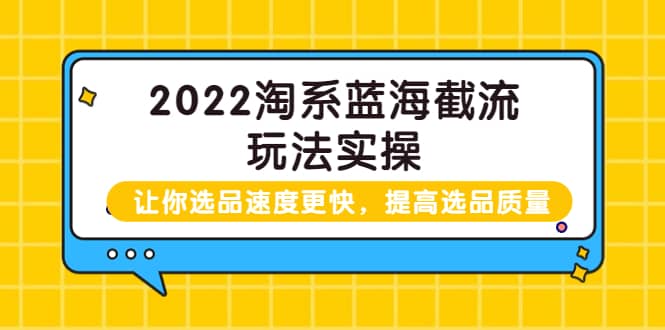2022淘系蓝海截流玩法实操：让你选品速度更快，提高选品质量（价值599）凯哥轻创网-网创项目资源站-副业项目-创业项目-搞钱项目凯哥轻创网