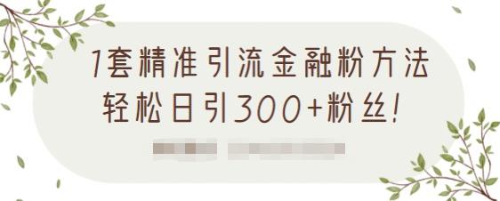 1套精准引流金融粉方法，轻松日引300+粉丝【视频课程】凯哥轻创网-网创项目资源站-副业项目-创业项目-搞钱项目凯哥轻创网