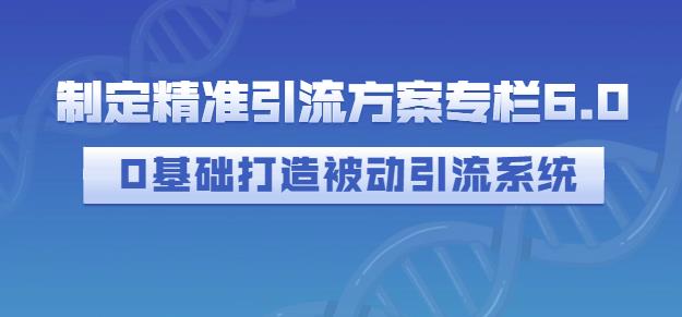 制定精准引流方案专栏6.0，0基础打造被动引流系统凯哥轻创网-网创项目资源站-副业项目-创业项目-搞钱项目凯哥轻创网