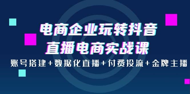 电商企业玩转抖音直播电商实战课：账号搭建+数据化直播+付费投流+金牌主播凯哥轻创网-网创项目资源站-副业项目-创业项目-搞钱项目凯哥轻创网