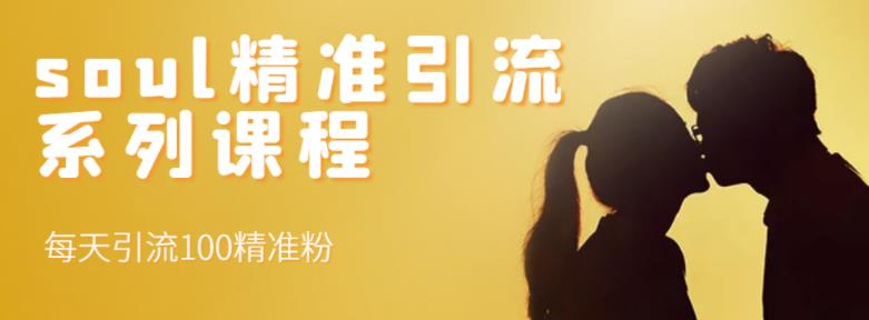 soul精准引流系列课程，每天引流100精准粉凯哥轻创网-网创项目资源站-副业项目-创业项目-搞钱项目凯哥轻创网