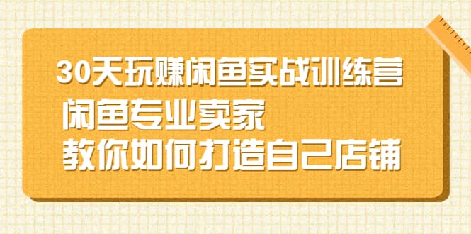 30天玩赚闲鱼实战训练营，闲鱼专业卖家教你如何打造自己店铺凯哥轻创网-网创项目资源站-副业项目-创业项目-搞钱项目凯哥轻创网