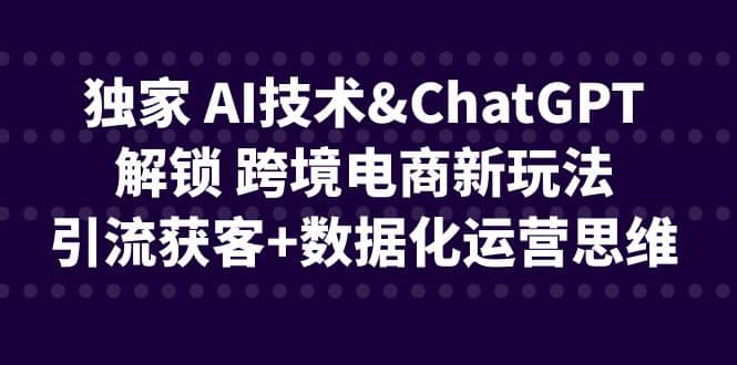 独家 AI技术ChatGPT解锁 跨境电商新玩法，引流获客+数据化运营思维凯哥轻创网-网创项目资源站-副业项目-创业项目-搞钱项目凯哥轻创网