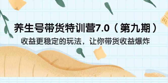 养生号带货特训营7.0（第九期）收益更稳定的玩法 让你带货收益爆炸（11节）凯哥轻创网-网创项目资源站-副业项目-创业项目-搞钱项目凯哥轻创网