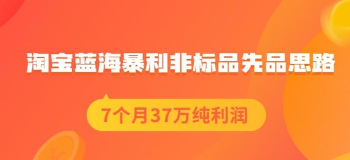 盗坤淘宝蓝海暴利非标品先品思路，7个月37万纯利润，压箱干货分享！【付费文章】凯哥轻创网-网创项目资源站-副业项目-创业项目-搞钱项目凯哥轻创网