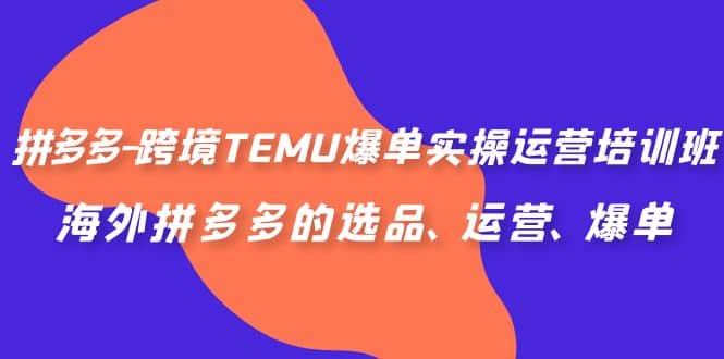 拼多多-跨境TEMU爆单实操运营培训班，海外拼多多的选品、运营、爆单凯哥轻创网-网创项目资源站-副业项目-创业项目-搞钱项目凯哥轻创网
