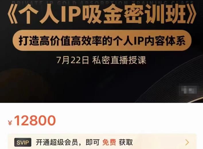 个人IP吸金密训班，打造高价值高效率的个人IP内容体系（价值12800元）凯哥轻创网-网创项目资源站-副业项目-创业项目-搞钱项目凯哥轻创网