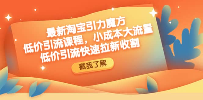 最新淘宝引力魔方低价引流实操：小成本大流量凯哥轻创网-网创项目资源站-副业项目-创业项目-搞钱项目凯哥轻创网
