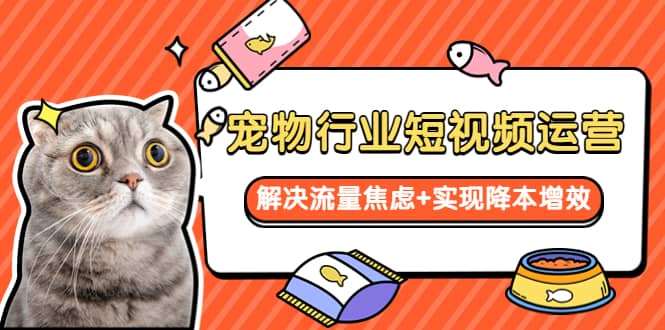 宠物/行业短视频运营 流量增长的一层窗户纸 解决流量焦虑+实现降本增效凯哥轻创网-网创项目资源站-副业项目-创业项目-搞钱项目凯哥轻创网