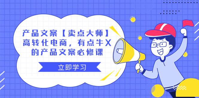 产品文案【卖点大师】高转化电商，有点牛X的 产品文案必修课凯哥轻创网-网创项目资源站-副业项目-创业项目-搞钱项目凯哥轻创网