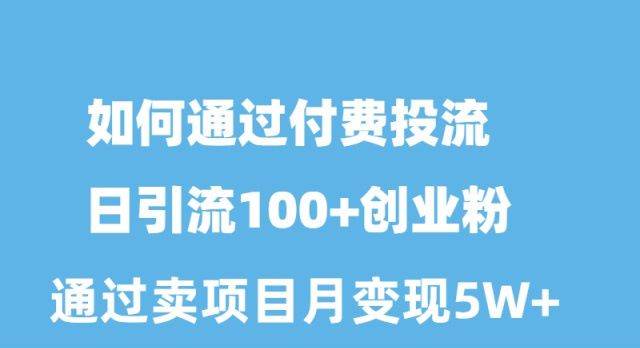 如何通过付费投流日引流100+创业粉月变现5W+凯哥轻创网-网创项目资源站-副业项目-创业项目-搞钱项目凯哥轻创网
