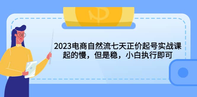 2023电商自然流七天正价起号实战课：起的慢，但是稳，小白执行即可凯哥轻创网-网创项目资源站-副业项目-创业项目-搞钱项目凯哥轻创网