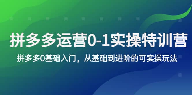 拼多多-运营0-1实操训练营，拼多多0基础入门，从基础到进阶的可实操玩法凯哥轻创网-网创项目资源站-副业项目-创业项目-搞钱项目凯哥轻创网