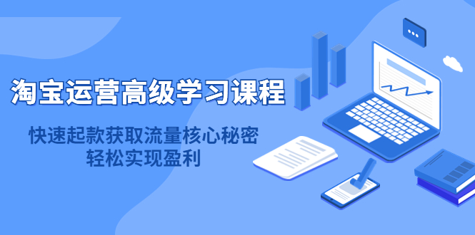 淘宝运营高级学习课程：快速获取流量核心秘密，轻松实现盈利！凯哥轻创网-网创项目资源站-副业项目-创业项目-搞钱项目凯哥轻创网