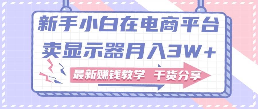 新手小白如何做到在电商平台卖显示器月入3W+，最新赚钱教学干货分享凯哥轻创网-网创项目资源站-副业项目-创业项目-搞钱项目凯哥轻创网