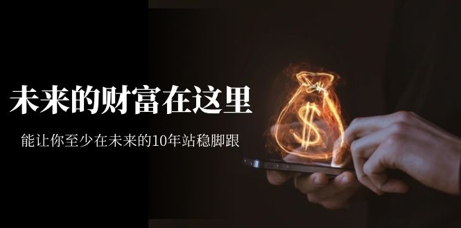 某收费文章《未来的财富在这里》能让你至少在未来的10年站稳脚跟凯哥轻创网-网创项目资源站-副业项目-创业项目-搞钱项目凯哥轻创网