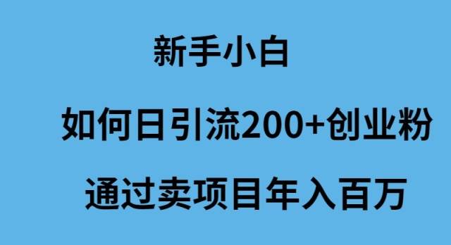 新手小白如何日引流200+创业粉通过卖项目年入百万凯哥轻创网-网创项目资源站-副业项目-创业项目-搞钱项目凯哥轻创网