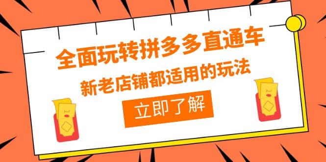 全面玩转拼多多直通车，新老店铺都适用的玩法（12节精华课）凯哥轻创网-网创项目资源站-副业项目-创业项目-搞钱项目凯哥轻创网
