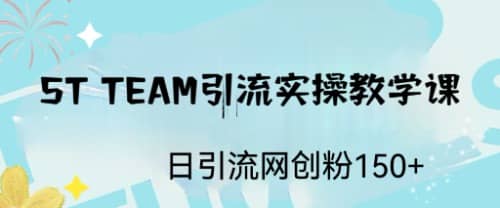 ST TEAM引流实操课，日引流网创粉100+凯哥轻创网-网创项目资源站-副业项目-创业项目-搞钱项目凯哥轻创网