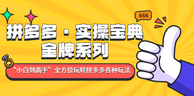 拼多多·实操宝典：金牌系列“小白到高手”带你全方位玩转拼多多各种玩法凯哥轻创网-网创项目资源站-副业项目-创业项目-搞钱项目凯哥轻创网