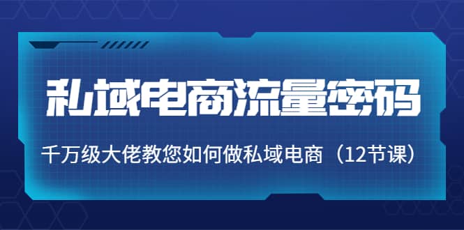 私域电商流量密码：千万级大佬教您如何做私域电商（12节课）凯哥轻创网-网创项目资源站-副业项目-创业项目-搞钱项目凯哥轻创网