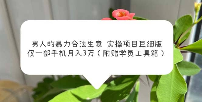 男人的暴力合法生意实操项目巨细版：仅一部手机月入3w（附赠学员工具箱）凯哥轻创网-网创项目资源站-副业项目-创业项目-搞钱项目凯哥轻创网