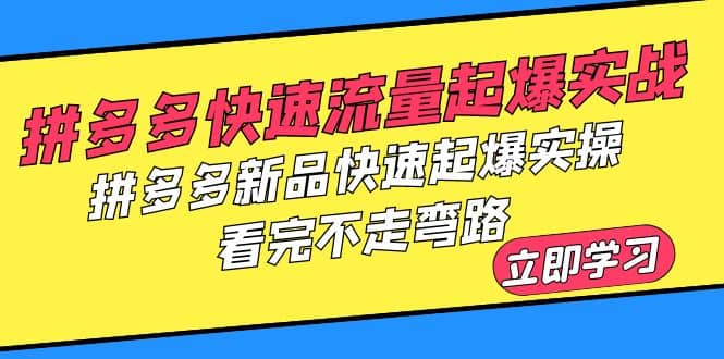 拼多多-快速流量起爆实战，拼多多新品快速起爆实操，看完不走弯路凯哥轻创网-网创项目资源站-副业项目-创业项目-搞钱项目凯哥轻创网