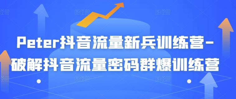 Peter抖音流量新兵训练营-破解抖音流量密码群爆训练营（新兵）凯哥轻创网-网创项目资源站-副业项目-创业项目-搞钱项目凯哥轻创网