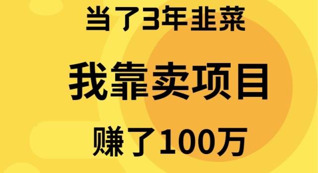 当了3年韭菜，我靠卖项目赚了100万凯哥轻创网-网创项目资源站-副业项目-创业项目-搞钱项目凯哥轻创网