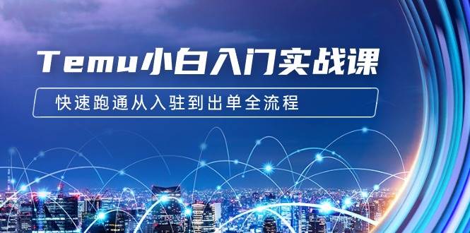 Temu小白入门实战课：跨境拼多多电商培训 快速跑通从入驻到出单全流程-12节凯哥轻创网-网创项目资源站-副业项目-创业项目-搞钱项目凯哥轻创网