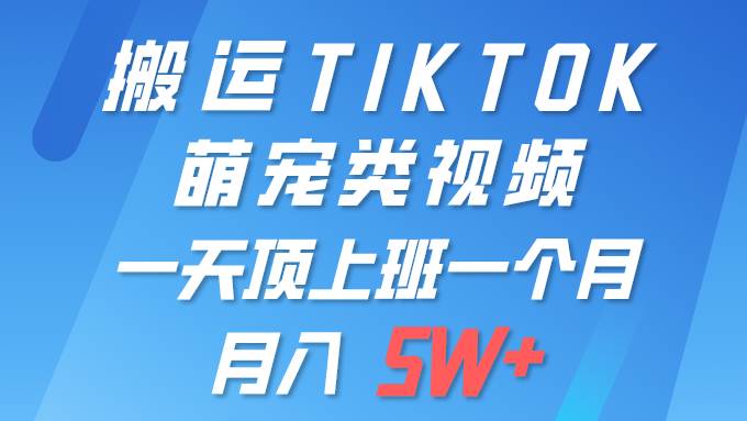 一键搬运TIKTOK萌宠类视频 一部手机即可操作 所有平台均可发布 轻松月入5W+凯哥轻创网-网创项目资源站-副业项目-创业项目-搞钱项目凯哥轻创网