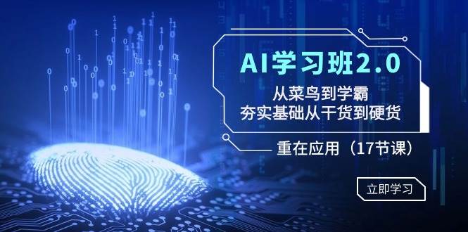 AI学习班2.0：从菜鸟到学霸，夯实基础从干货到硬货，重在应用（17节课）凯哥轻创网-网创项目资源站-副业项目-创业项目-搞钱项目凯哥轻创网
