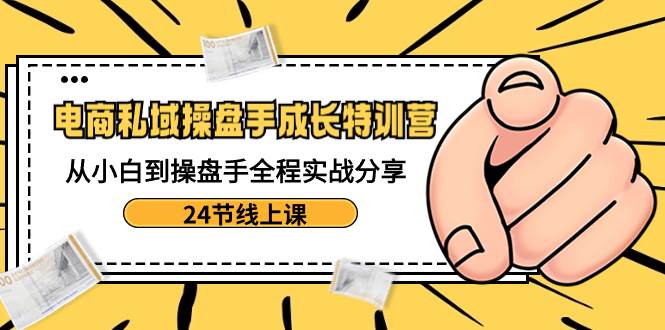 电商私域-操盘手成长特训营：从小白到操盘手全程实战分享-24节线上课凯哥轻创网-网创项目资源站-副业项目-创业项目-搞钱项目凯哥轻创网