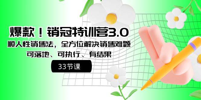 爆款！销冠特训营3.0之顺人性销售法，全方位解决销售难题、可落地、可执行、有结果凯哥轻创网-网创项目资源站-副业项目-创业项目-搞钱项目凯哥轻创网