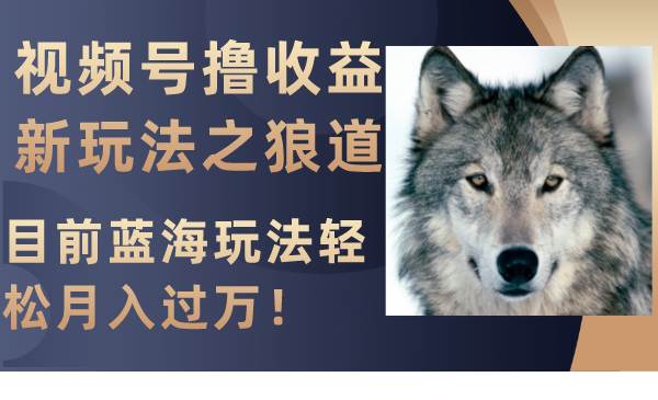视频号撸收益新玩法之狼道，目前蓝海玩法轻松月入过万！凯哥轻创网-网创项目资源站-副业项目-创业项目-搞钱项目凯哥轻创网