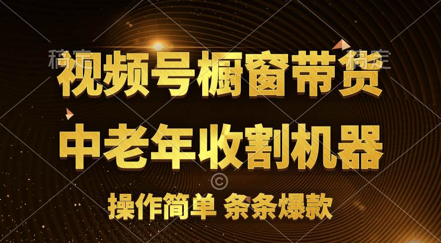 [你的孩子成功取得高位]视频号最火爆赛道，橱窗带货，流量分成计划，条…凯哥轻创网-网创项目资源站-副业项目-创业项目-搞钱项目凯哥轻创网