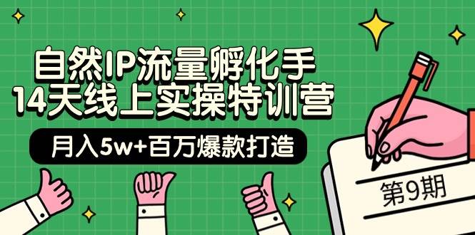 自然IP流量孵化手 14天线上实操特训营【第9期】月入5w+百万爆款打造 (74节)凯哥轻创网-网创项目资源站-副业项目-创业项目-搞钱项目凯哥轻创网