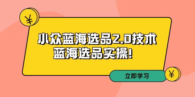 拼多多培训第33期：小众蓝海选品2.0技术-蓝海选品实操！凯哥轻创网-网创项目资源站-副业项目-创业项目-搞钱项目凯哥轻创网