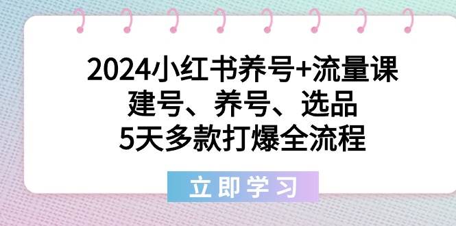 2024小红书养号+流量课：建号、养号、选品，5天多款打爆全流程凯哥轻创网-网创项目资源站-副业项目-创业项目-搞钱项目凯哥轻创网