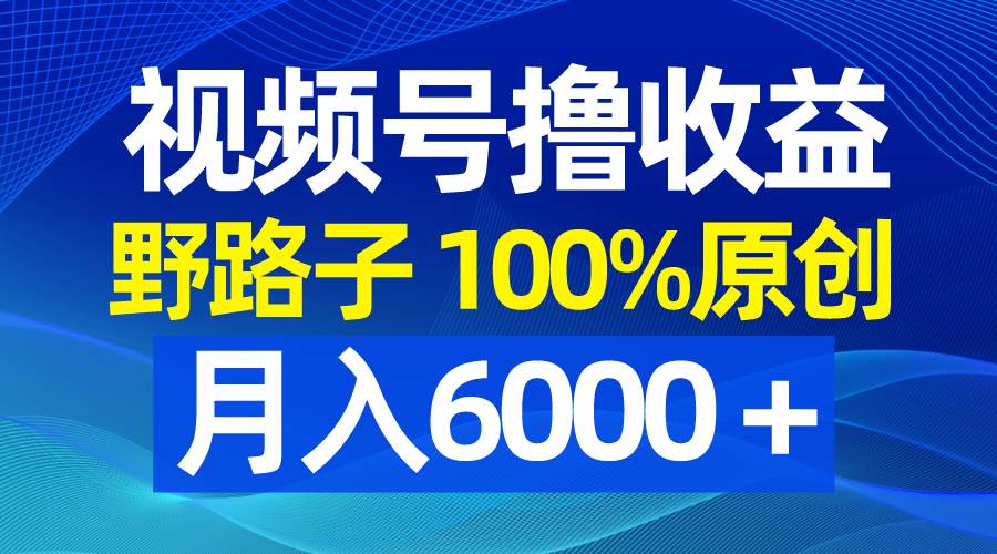 视频号野路子撸收益，100%原创，条条爆款，月入6000＋凯哥轻创网-网创项目资源站-副业项目-创业项目-搞钱项目凯哥轻创网