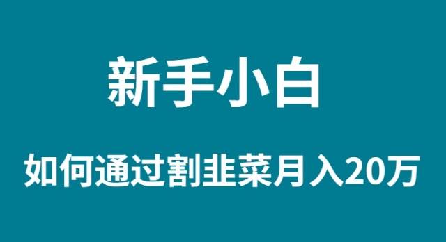 新手小白如何通过割韭菜月入 20W凯哥轻创网-网创项目资源站-副业项目-创业项目-搞钱项目凯哥轻创网