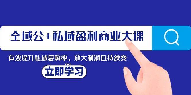 全域公+私域盈利商业大课，有效提升私域复购率，放大利润且持续变现凯哥轻创网-网创项目资源站-副业项目-创业项目-搞钱项目凯哥轻创网