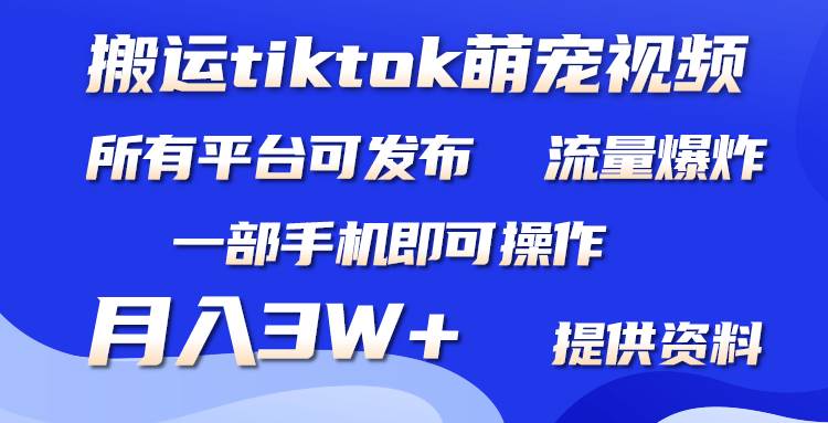 搬运Tiktok萌宠类视频，一部手机即可。所有短视频平台均可操作，月入3W+凯哥轻创网-网创项目资源站-副业项目-创业项目-搞钱项目凯哥轻创网