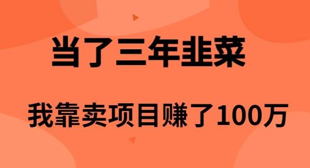 当了3年韭菜，我靠卖项目赚了100万凯哥轻创网-网创项目资源站-副业项目-创业项目-搞钱项目凯哥轻创网