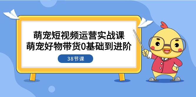 萌宠·短视频运营实战课：萌宠好物带货0基础到进阶（38节课）凯哥轻创网-网创项目资源站-副业项目-创业项目-搞钱项目凯哥轻创网